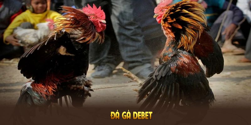 Đá Gà DEBET Và Những Hình Thức Cược Thú Vị Bạn Nên Chơi