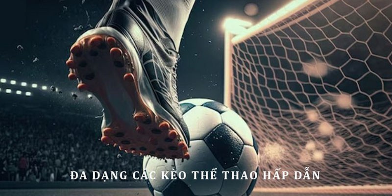 Nhiều tỷ lệ cá độ với luật chơi tiện lợi