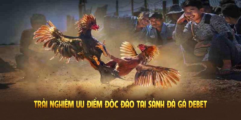 Trải nghiệm ưu điểm độc đáo tại sảnh đá gà DEBET